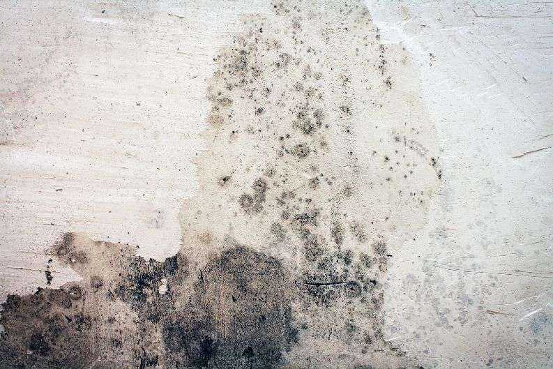 Can Lack of Insulation in Your House Cause Mold?
